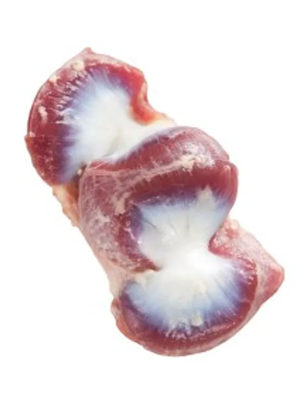 Frozen Chicken Gizzard
